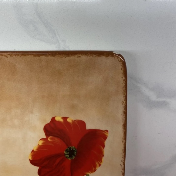 Pier 1 Imports Poppies Earthenware Square Dinner Plate 10.5" Two Plates - Picture 4 of 8